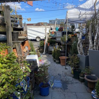 Beethoven's Veranda - Florists Near Me - North Bergen, New Jersey