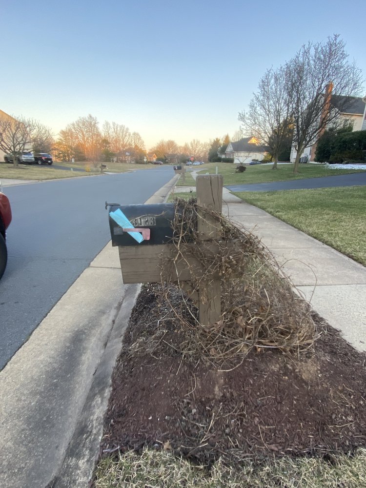 Slide of Brothers painting