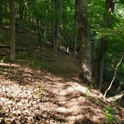 Fran Reese Audubon Sanctuary - Notice how narrow it is, looking at the right.
