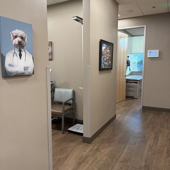 Manish B Marolia, MD, FAAP - Internal Medicine Near Me - Fountain Valley, California Manish B Marolia, MD, FAAP - Internal Medicine Near Me - Fountain Valley, California