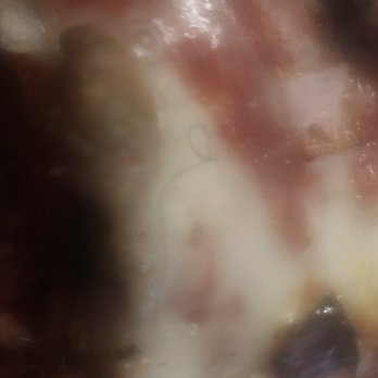 Jet's Pizza - Hair found in the disgusting BURNT pizza! Sickening!! - Pizza Near Me - Waterford, Michigan Jet's Pizza - Hair found in the disgusting BURNT pizza! Sickening!! - Pizza Near Me - Waterford, Michigan