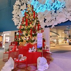 DFS Waikiki