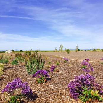 Shoreline Parks - Parks Near Me - San Mateo, California Shoreline Parks - Parks Near Me - San Mateo, California