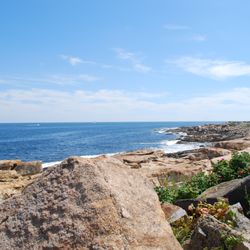 Plug in Cape Ann Tours - The Backshore on Atlantic Ave, a great place to bird watch year round.