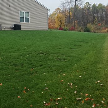 Premier Lawn Services - Our Lawns are green! - Lawn Services Near Me Premier Lawn Services - Our Lawns are green! - Lawn Services Near Me