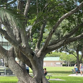 Bayview Park - Parks Near Me - Fort Lauderdale, Florida Bayview Park - Parks Near Me - Fort Lauderdale, Florida