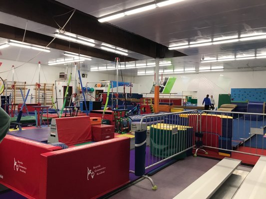 Seattle Gymnastics Academy 32 Reviews Gymnastics 12535 26th Ave Ne Seattle Wa Phone Number