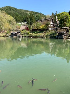 Hida no Sato Open Air Museum by null