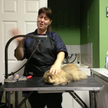 Felinus - Pet Groomers Near Me - Montreal, Quebec