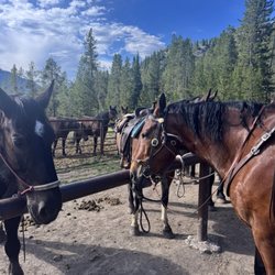 Jackson Hole Outfitters