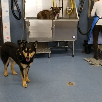 Pet Station - South Reno - Pet Stores Near Me - Reno, Nevada