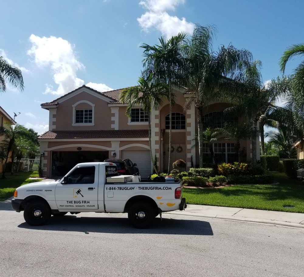 THE BUG FIRM Updated August 2024 10 Photos & 10 Reviews Hialeah