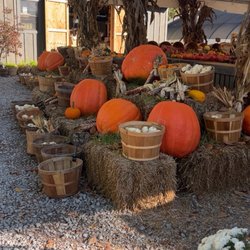 S. E. Daugherty & Sons Farm - Pumpkins