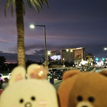 CartZilla - Bus Tours Near Me - Las Vegas, Nevada CartZilla - Bus Tours Near Me - Las Vegas, Nevada