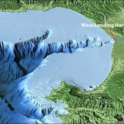 Sanctuary Cruises - Sub-marine Canyon Moss Landing