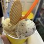 Photo of Glauco Gelati