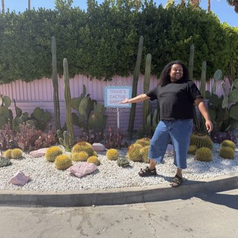 Trixie Motel - Trixies Cactus Garden on the corner of the Motel - Hotels Near Me - Palm Springs, California Trixie Motel - Trixies Cactus Garden on the corner of the Motel - Hotels Near Me - Palm Springs, California