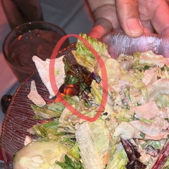 La Cave - A COCKROACH in a salad - Steakhouses Near Me - Costa Mesa, California La Cave - A COCKROACH in a salad - Steakhouses Near Me - Costa Mesa, California
