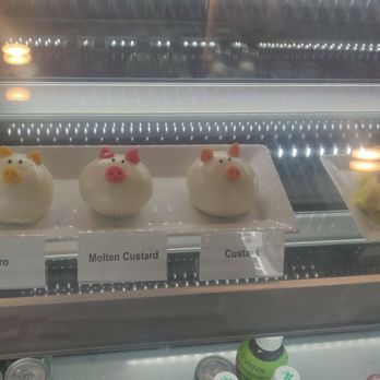 Cafe Aloe - Their food display case - Cafes Near Me - Bellevue, Washington