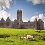Photo of Ross Errilly Friary