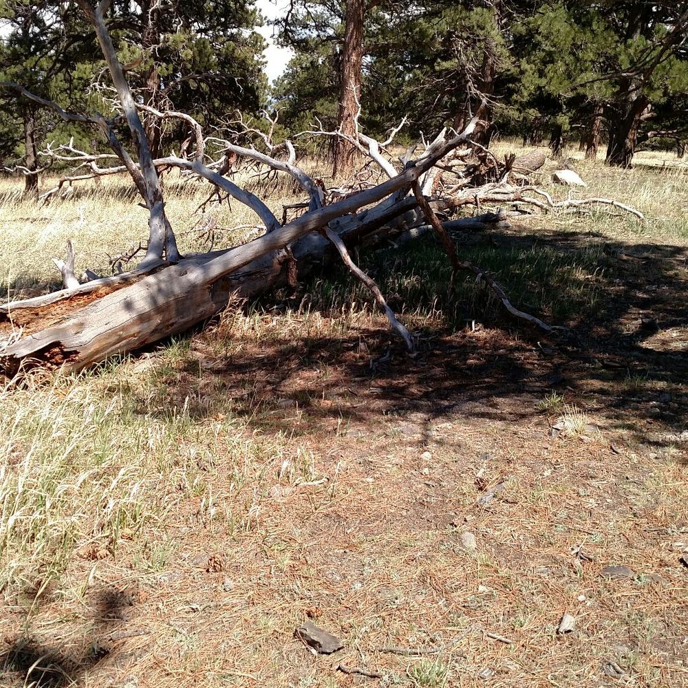 White Ranch Open Space Park - Hiking Near Me - Golden, Colorado White Ranch Open Space Park - Hiking Near Me - Golden, Colorado