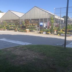 Lowe's Home Improvement - Garden area