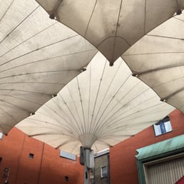 The coolest umbrellas in town