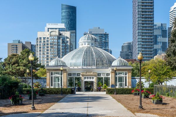 Allan Gardens Conservatory by null