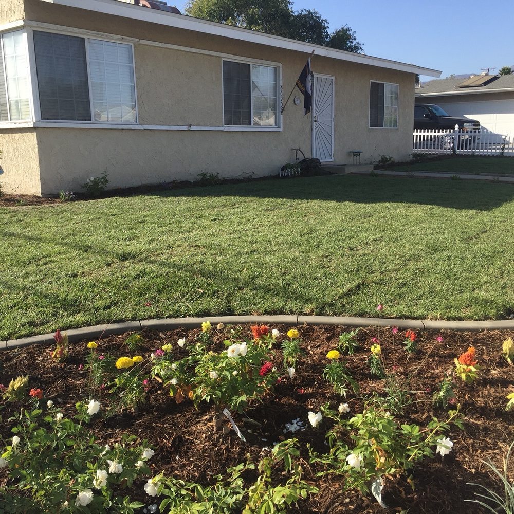 The Turf Dr - Landscaping Near Me The Turf Dr - Landscaping Near Me