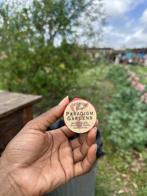 Paradigm Gardens by null