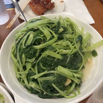 Cafe Hong Kong - Veggies - Cantonese Near Me - New York, New York