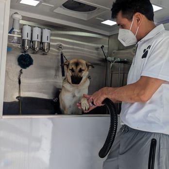 210 Pet Grooming - Pet Groomers Near Me - San Antonio, Texas