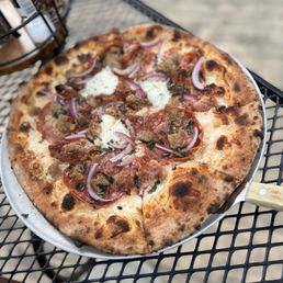 Carnivora