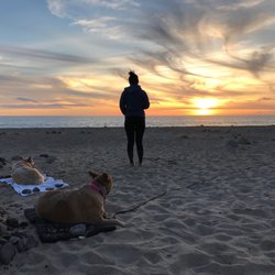 K-9 Behavior Services - Dog Beach Boot Camp! Training at Point Mugu.