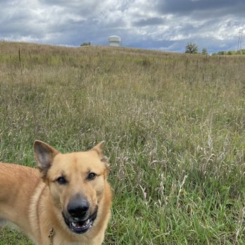 Elm Creek Park Reserve - Beautiful natural areas with Mick the Chinook - Dog Parks Near Me - Maple Grove, Minnesota Elm Creek Park Reserve - Beautiful natural areas with Mick the Chinook - Dog Parks Near Me - Maple Grove, Minnesota