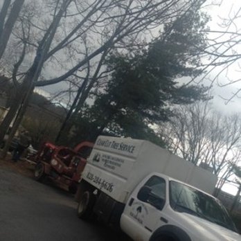 Clear Cut Tree Services - Tree Services Near Me - Asheville, North Carolina Clear Cut Tree Services - Tree Services Near Me - Asheville, North Carolina