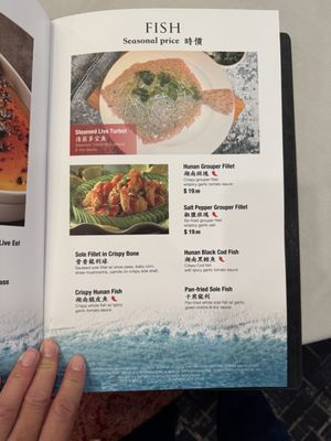 Menu photo 8 Fung's Kitchen Houston, TX
