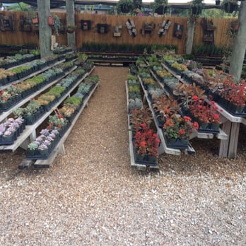 Isaac Farms - Nurseries & Gardening Near Me - Miami, Florida Isaac Farms - Nurseries & Gardening Near Me - Miami, Florida