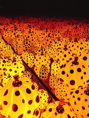 YAYOI KUSAMA Museum by null