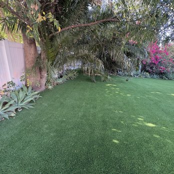 ArborCare - They clean up SO WELL the space I'm speechless - Tree Services Near Me ArborCare - They clean up SO WELL the space I'm speechless - Tree Services Near Me