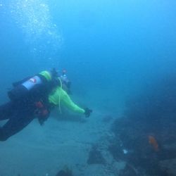 Salty Fins Diving