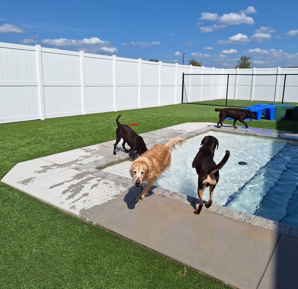 Embassy Veterinary Center Image