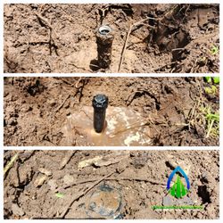 Elite Landscaping & Irrigation
