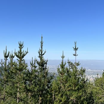 Grizzly Peak - Hiking Near Me - Berkeley, California