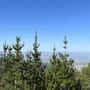 Photo of Grizzly Peak