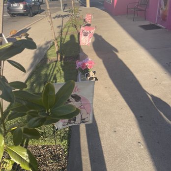 Cuppa Pug - Themed Cafes Near Me - Escondido, California Cuppa Pug - Themed Cafes Near Me - Escondido, California