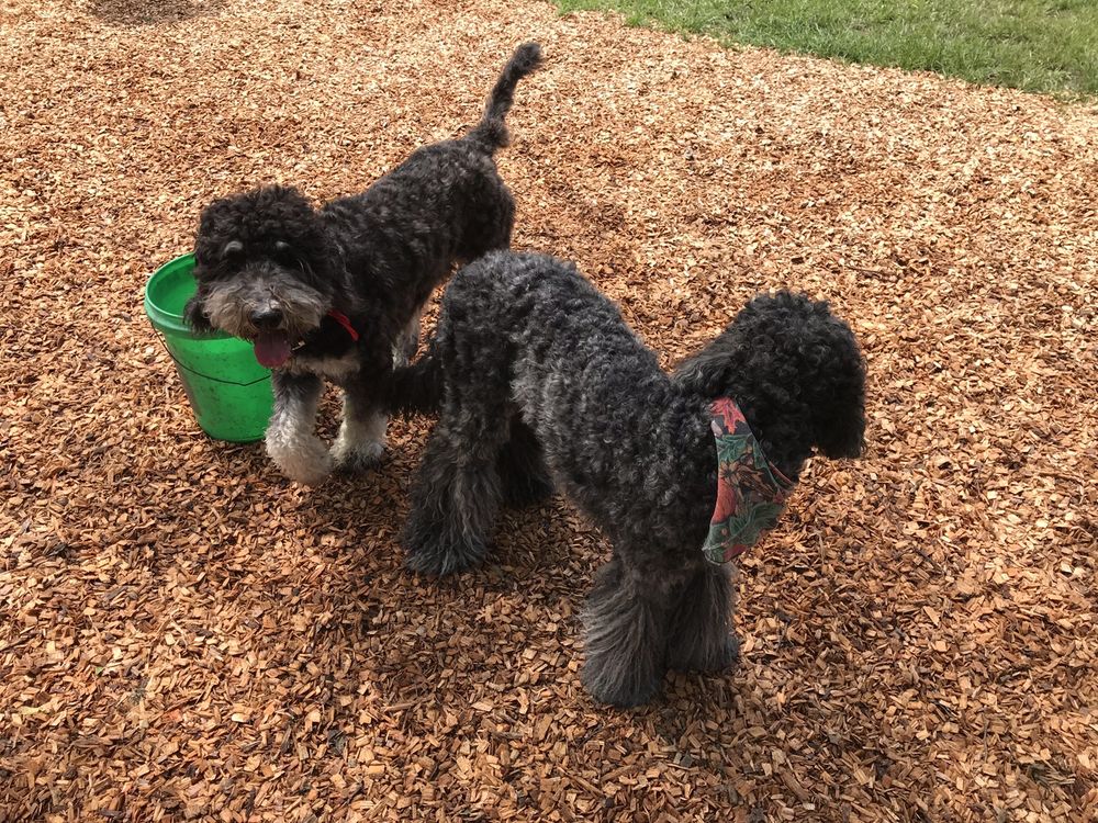 SQUIRREL RIDGE PARK Updated August 2024 40 Photos & 31 Reviews