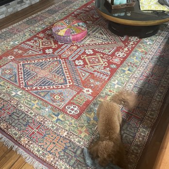 Oriental Rug Cleaning Facility - Carpet Cleaning Near Me - Tampa, Florida