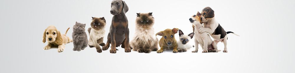 National Petland Image