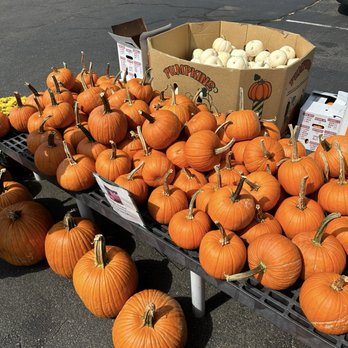 Lewis Farms - Specialty Food Near Me - Southington, Connecticut Lewis Farms - Specialty Food Near Me - Southington, Connecticut